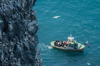 Puffins on Runde — 46