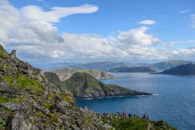 Puffins on Runde — 16