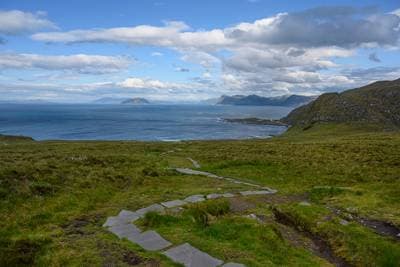 Puffins on Runde — 17