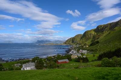 Puffins on Runde — 18