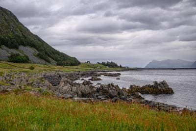 Puffins on Runde — 21