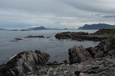 Puffins on Runde — 23