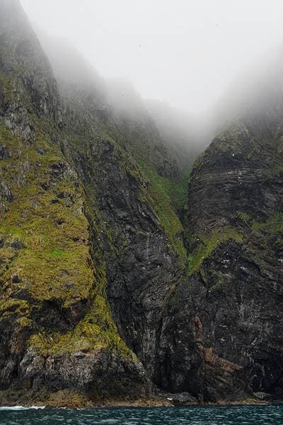 Puffins on Runde — 24