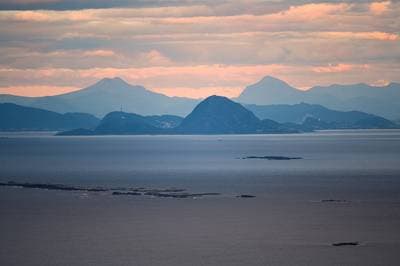 Puffins on Runde — 26