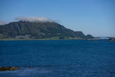 Puffins on Runde — 29