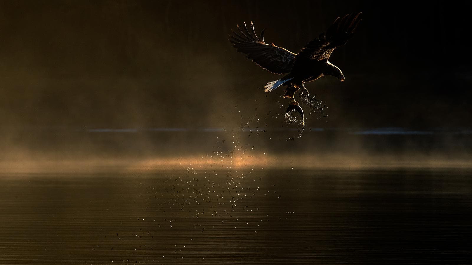 Winter in the Eagle Kingdom — 6