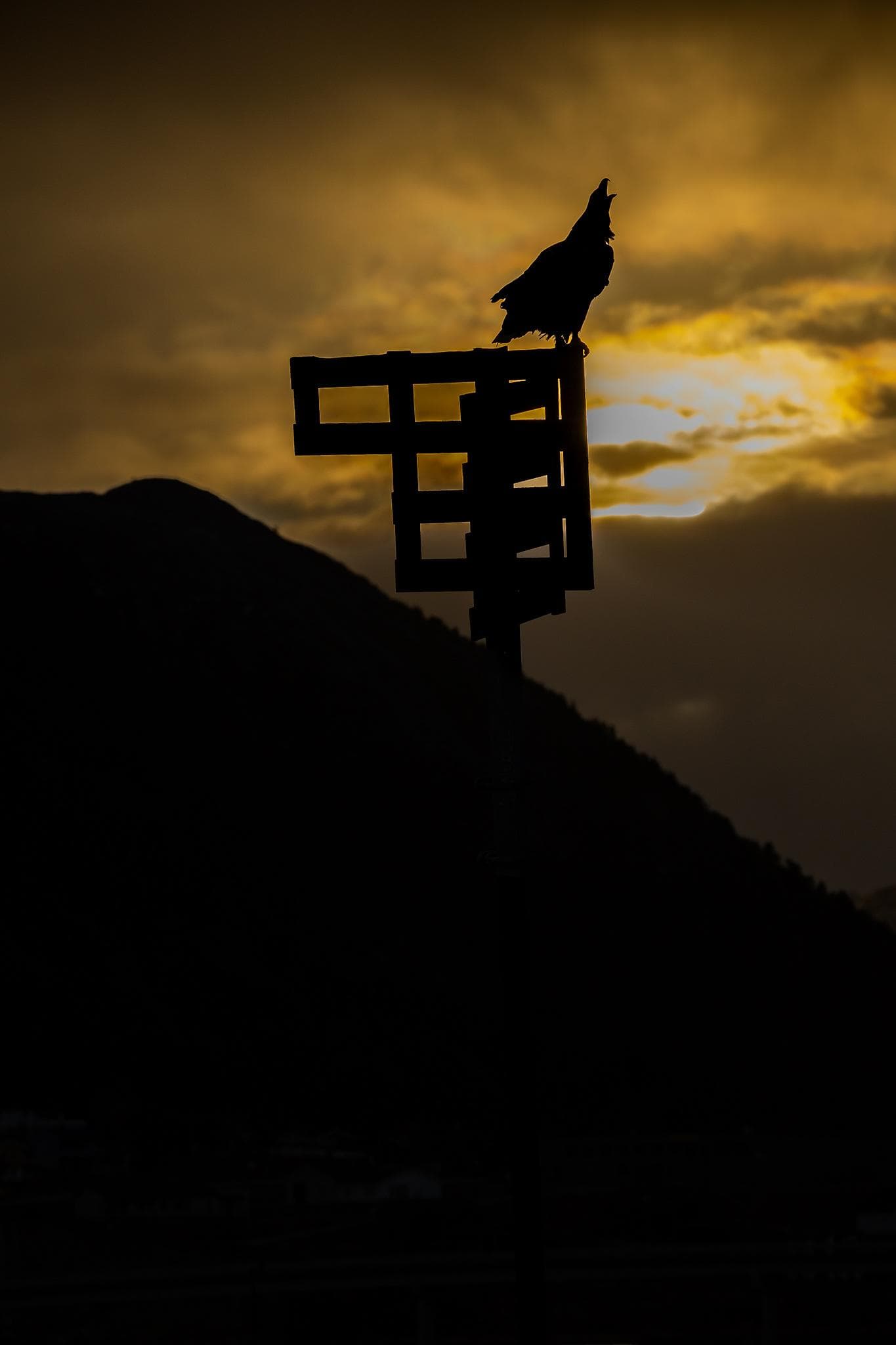 Winter in the Eagle Kingdom — 21