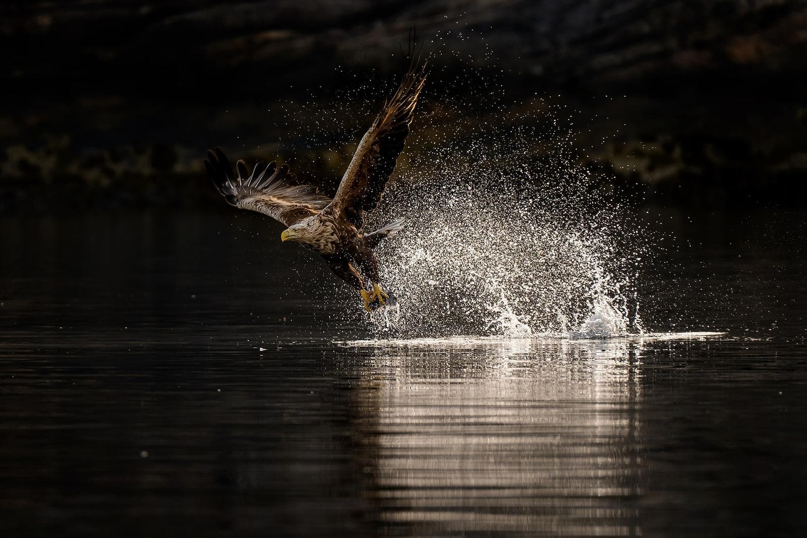 Winter in the Eagle Kingdom — 24