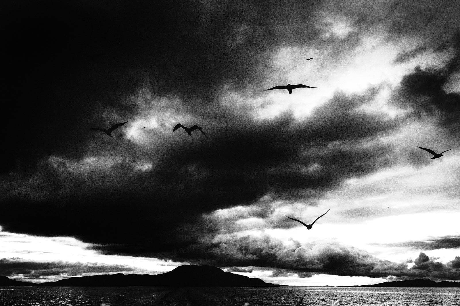 Winter in the Eagle Kingdom — 11