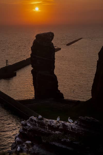 Helgoland (kopia) — 2