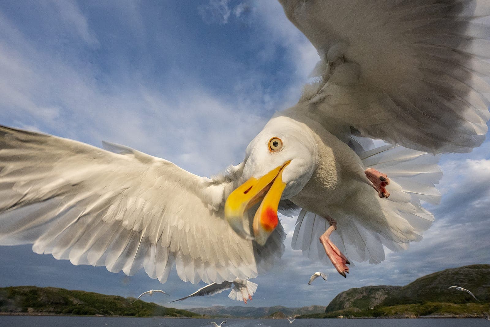 The Realm of Eagles (kopia) — 4