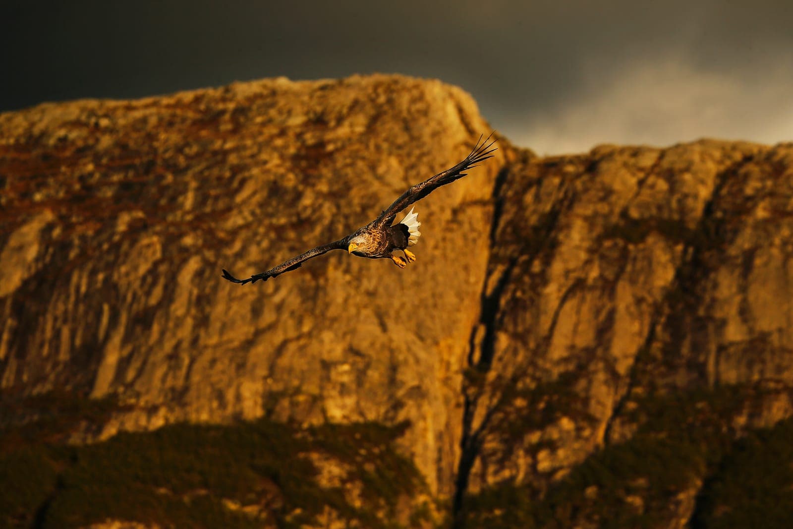 The Realm of Eagles (kopia) — 13