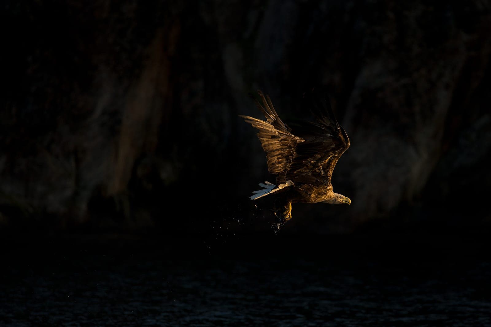 The Realm of Eagles (kopia) — 9