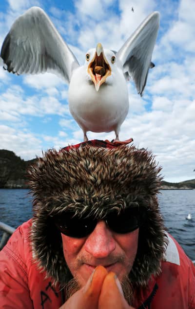 Das Reich der Adler — 19