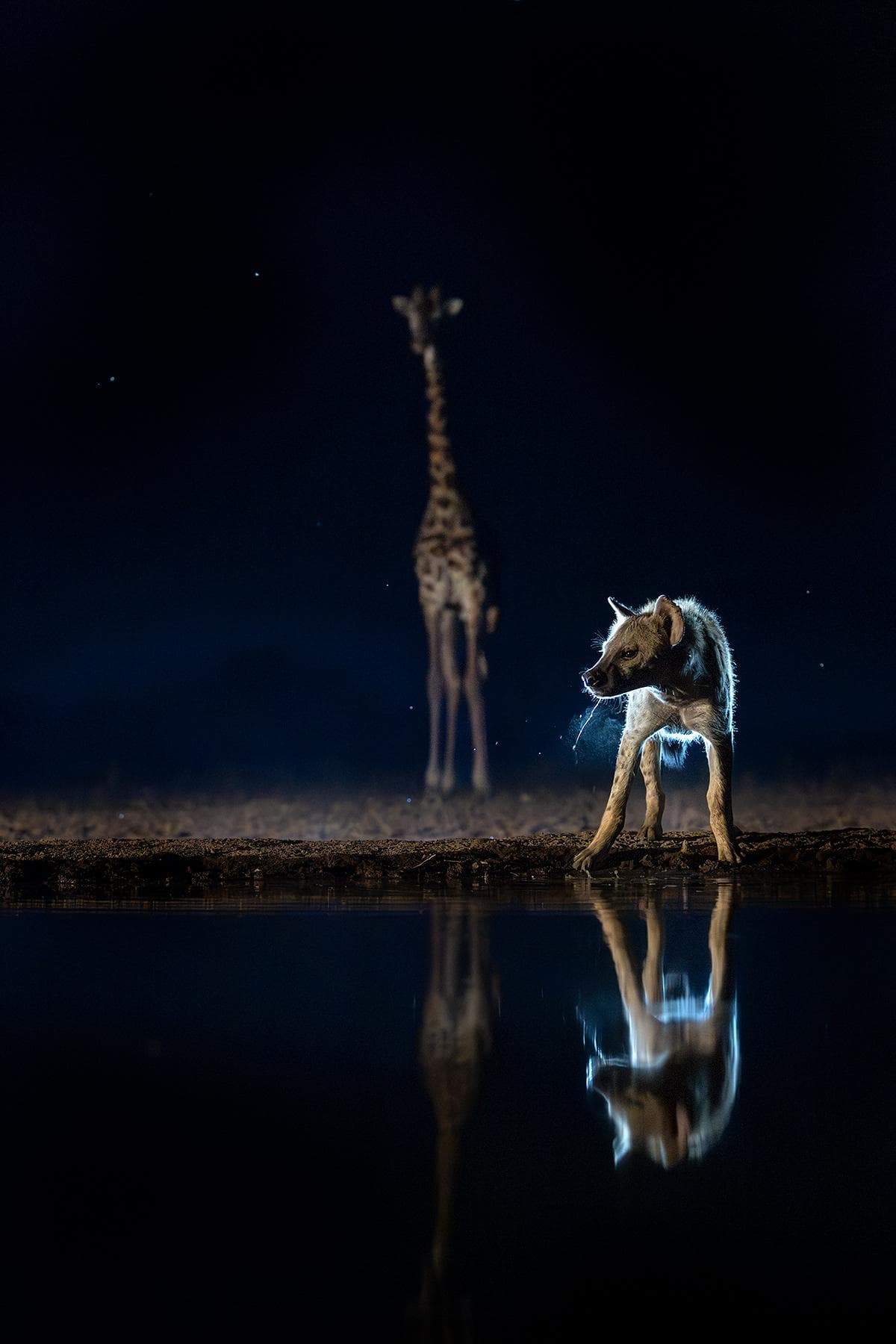 Hide photography in Shompole Wilderness — 5