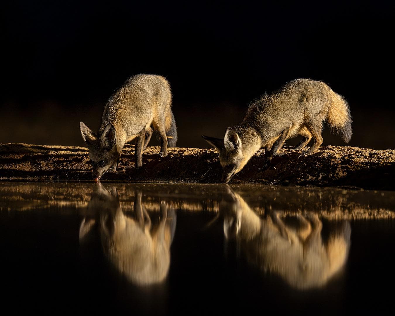 Hide photography in Shompole Wilderness — 7