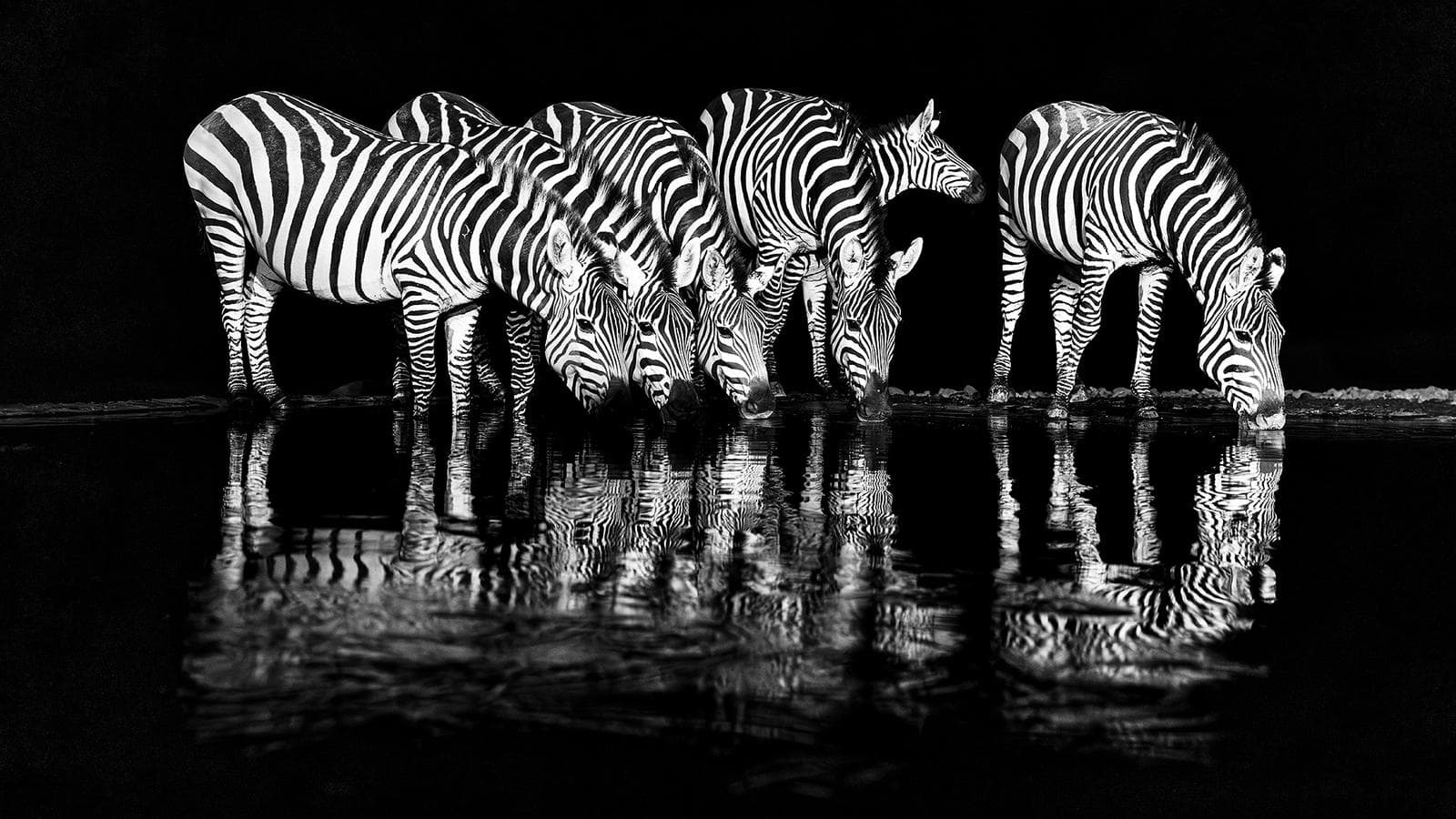 Hide photography in Shompole Wilderness — 10
