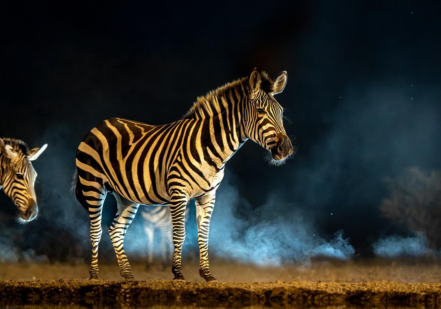 Hide photography in Shompole Wilderness — 14