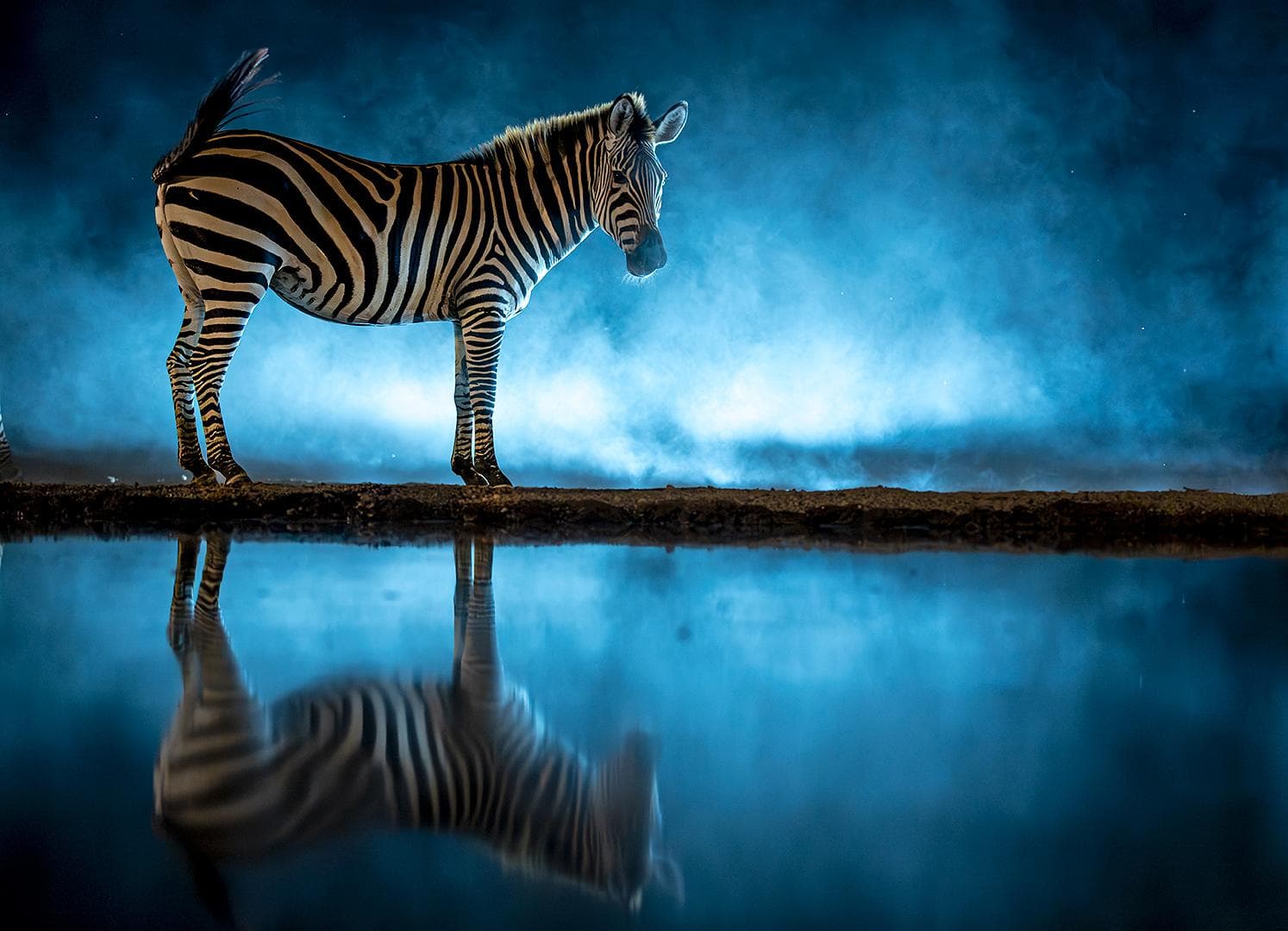 Hide photography in Shompole Wilderness — 13