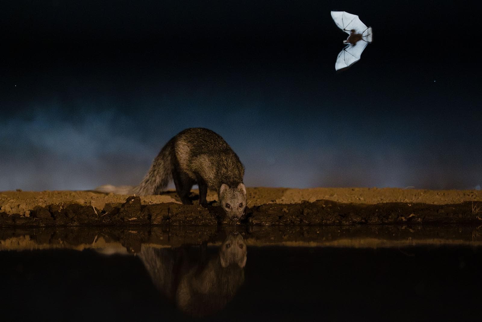 Hide photography in Shompole Wilderness — 18