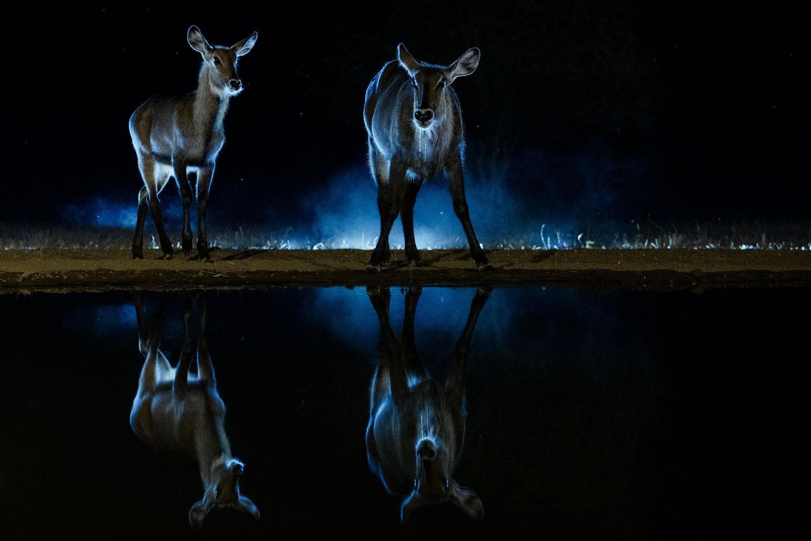 Hide photography in Shompole Wilderness — 21