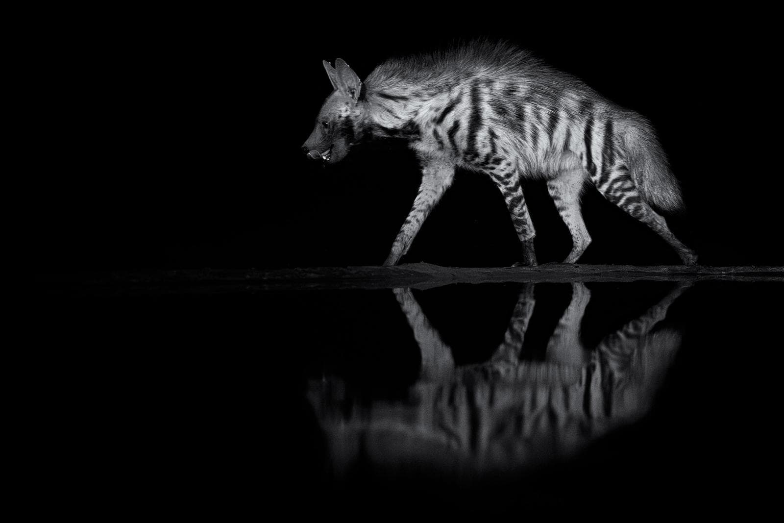 Hide photography in Shompole Wilderness — 20