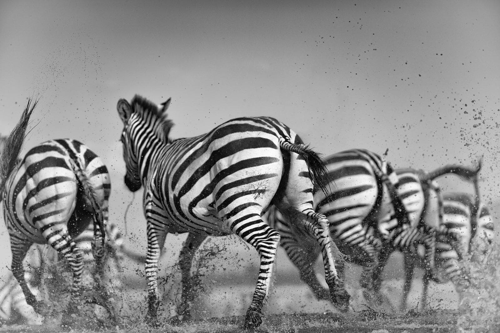 Hide photography in Shompole Wilderness — 22