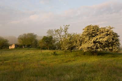 Hungary Spring — 7