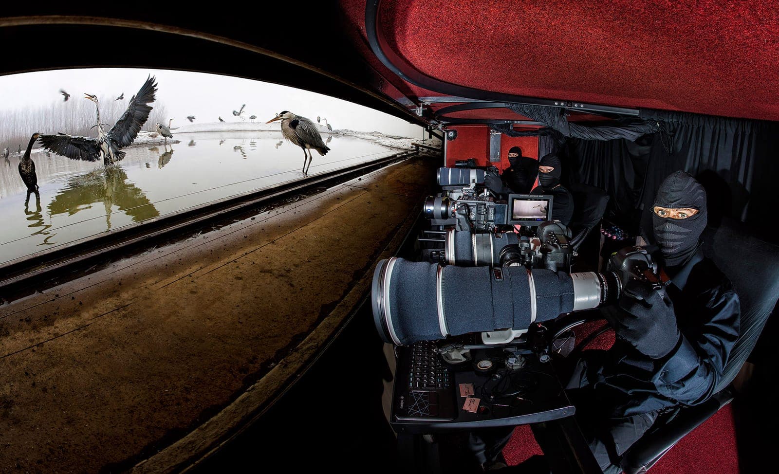 Hongarije — Europa's Beste Vogelfotografie Schuilhutten