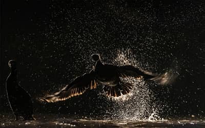 Hongarije winter — 28