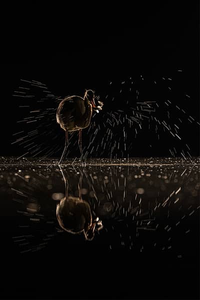 Hongarije winter — 13