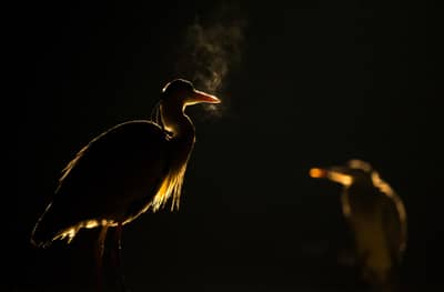 Hongarije winter — 34