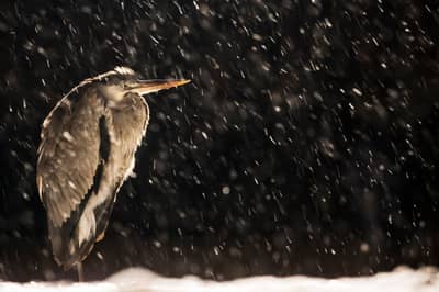 Hongarije winter — 25