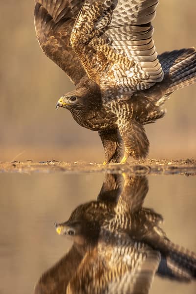 Hongarije winter — 27