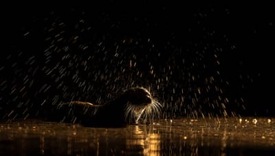 Hongarije winter — 16