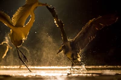 Hongarije winter — 29