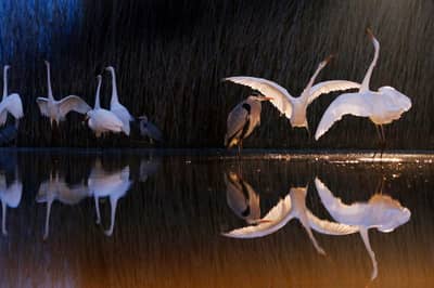 Hongarije winter — 15