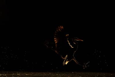 Hongarije winter — 36