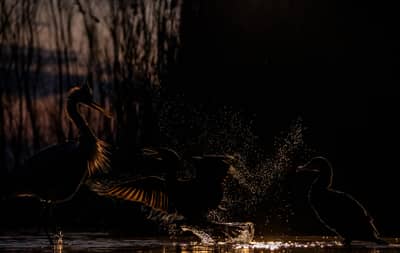 Hongarije winter — 24