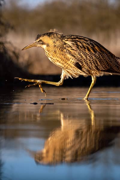 Hongarije winter — 32