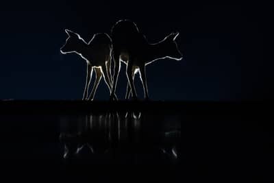 Hongarije winter — 17