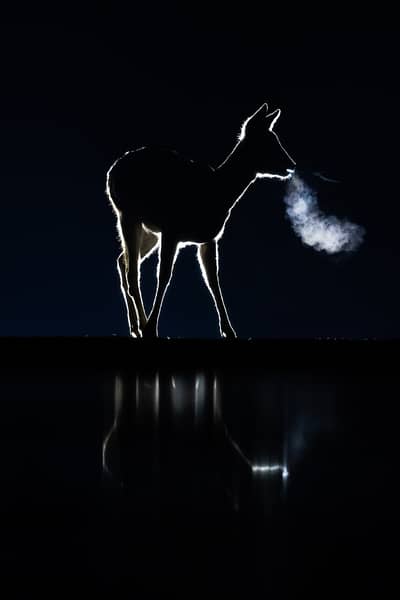 Hongarije winter — 18