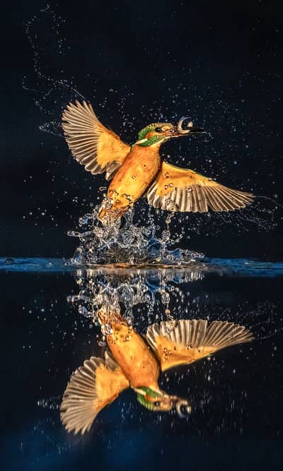 Hongarije winter — 12