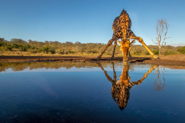 Zimanga – What to bring?